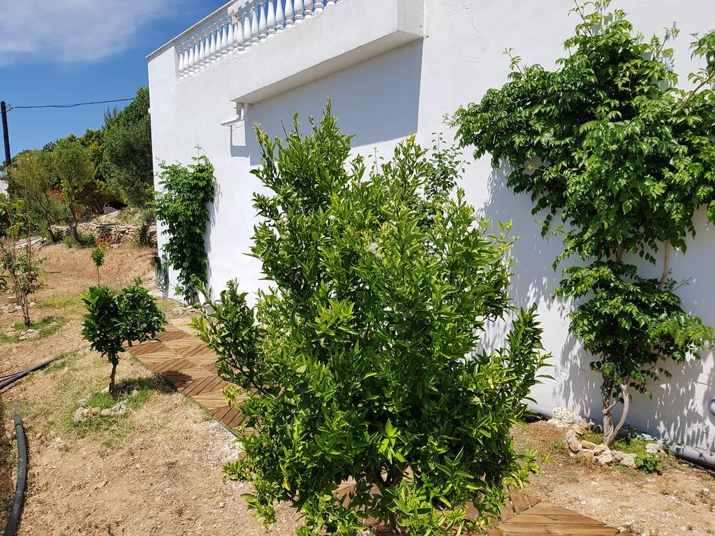 Villa Aphrodite Achlia Zewnętrze zdjęcie